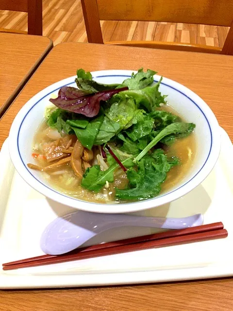 Snapdishの料理写真:塩ラーメン。出てきたのがサラダラーメンでちょっとびっくり。|yamadataroさん