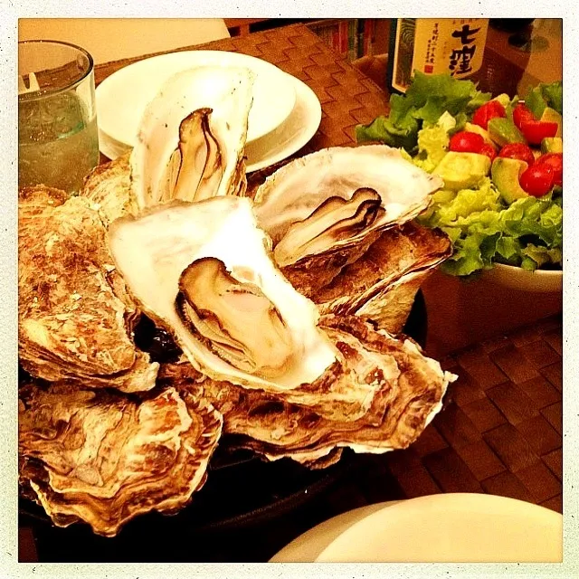 Snapdishの料理写真:広島産殻付き牡蠣のグリル＆アボトマサラダ /Grilled oysters, Avocado and tomato salad|ペンギンさん