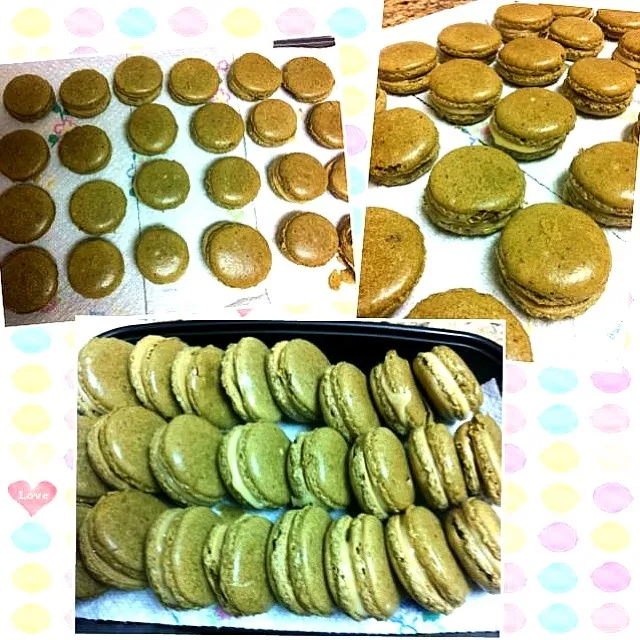 Greentea macarons with white chocolate ganache filling.|Esther :dさん