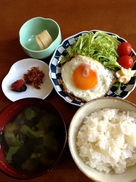 和朝食(目玉焼き、しらすのくぎ煮、梅干、沢庵、キャベツと若布の味噌汁、ごはん)|hanaさん