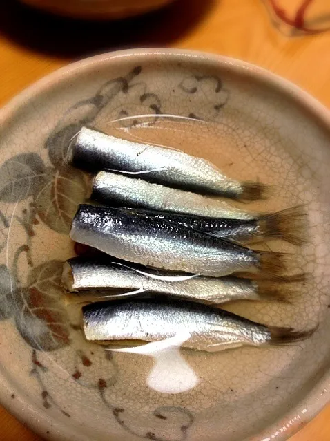 ママカリ|炊かれたいオトコ おこん 小栁津さん