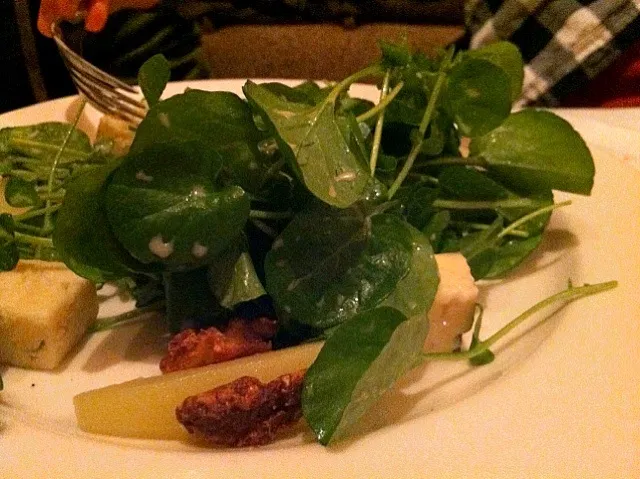 Snapdishの料理写真:Watercress and Pear Salad with Gorgonzola Dolce, Candied Walnuts and Asian Pear|scout o'garaさん