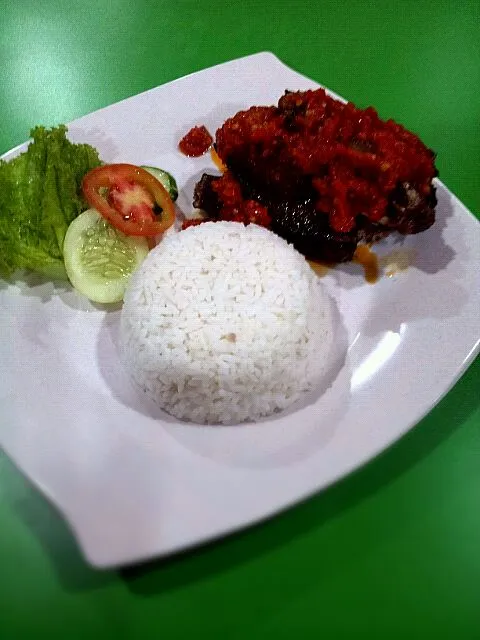 bebek selimut merah|bebek dubesさん