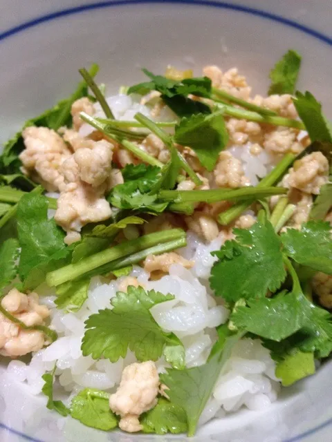 Ground chicken with coriander.|do dyuさん