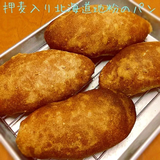 Snapdishの料理写真:押麦入りパン|まみさん