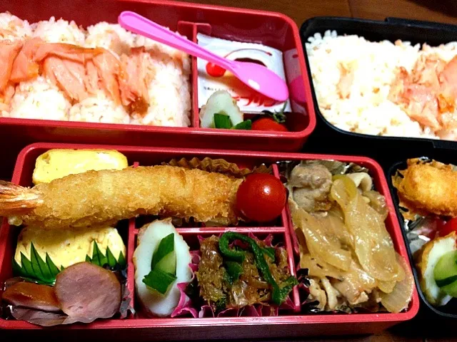 Snapdishの料理写真:お弁当|ponkyさん