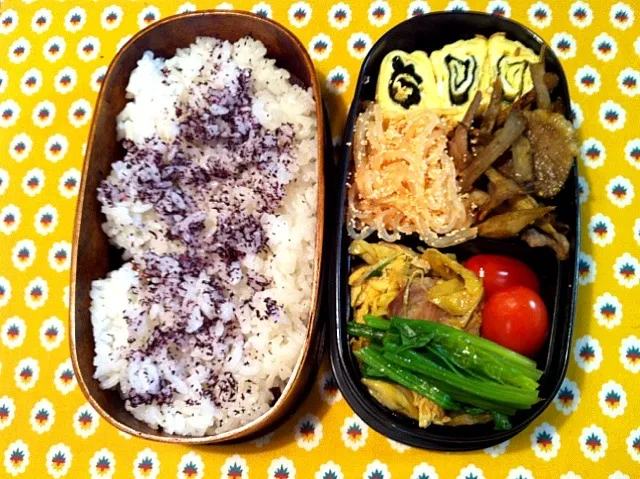 常備菜お弁当🍱|はなももさん