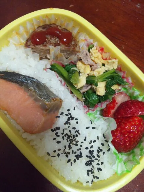 しゃけ弁当|さにー☆ミさん