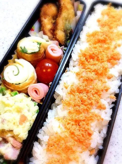 パパのお弁当|まうんてんさん