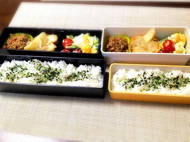 Snapdishの料理写真:本日のお弁当|satchさん