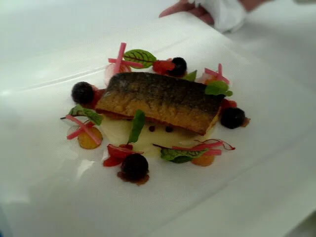 Snapdishの料理写真:Pan Seared Arctic Char on a Sunchoke Puree with Heirloom Beets|jenniferさん