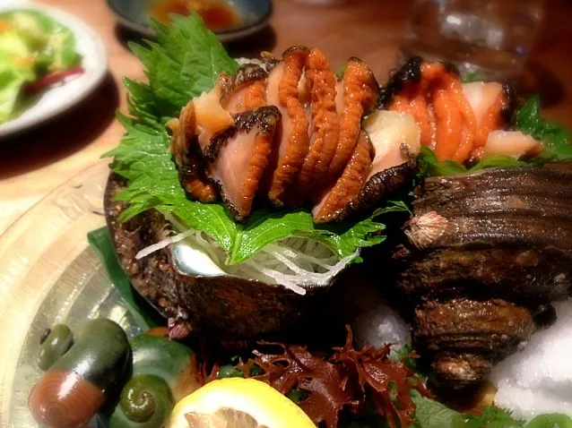 turban shell SASHIMI|mさん