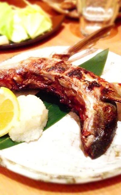 ぶりカマ塩焼き|寺尾真次さん