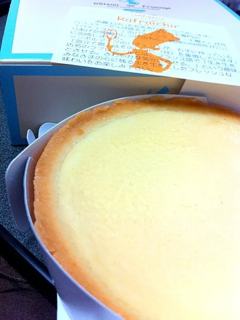 ハウステンボスのおみやげ☆チーズケーキ|なおさん