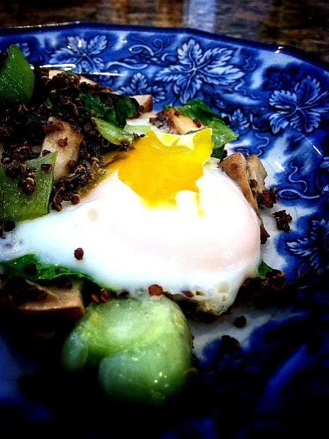 Red quinoa, Bok choy, chicken strips, egg|Peter Simonさん