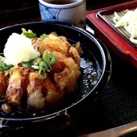 Snapdishの料理写真:玉ねぎつけ麺 淡路島いづも庵|みりんさん