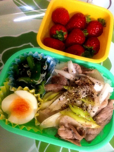 Snapdishの料理写真:今日のお弁当☆塩ダレ豚丼|machikoさん