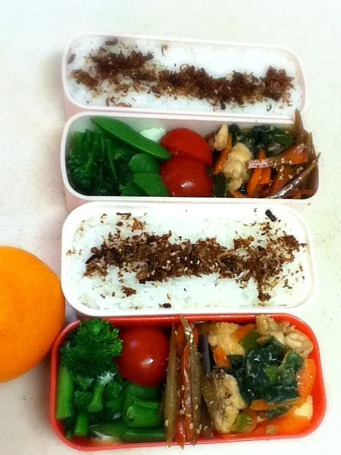 Snapdishの料理写真:今日のJK&OL弁当。Today's lunch box.|hoppycowさん