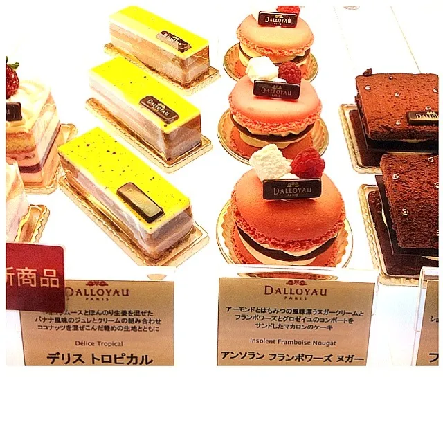 Assorted Pastries from Dalloyau|12Dragonさん