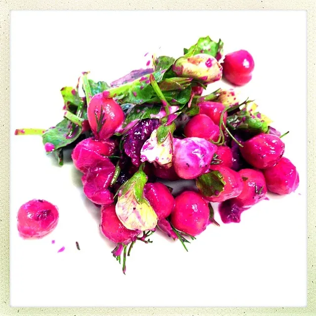 GARBONZO. TAHINI. PICKLED BEET. PEA TENDRIL. DILL|GREG ARNOLDさん