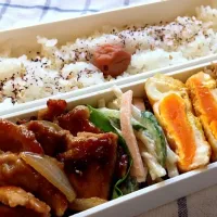 Snapdishの料理写真:２月２２日のお弁当