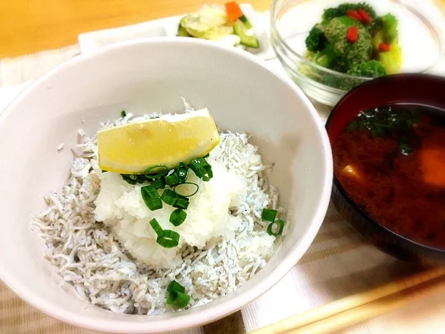 主人と私の晩御飯  しらす丼|シンリーさん