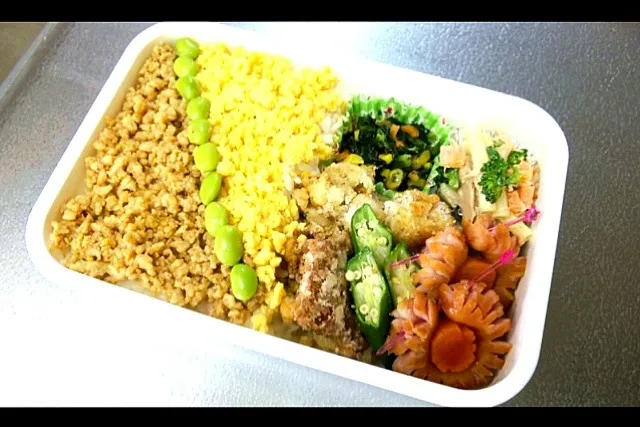 鶏そぼろ弁当|hrnさん