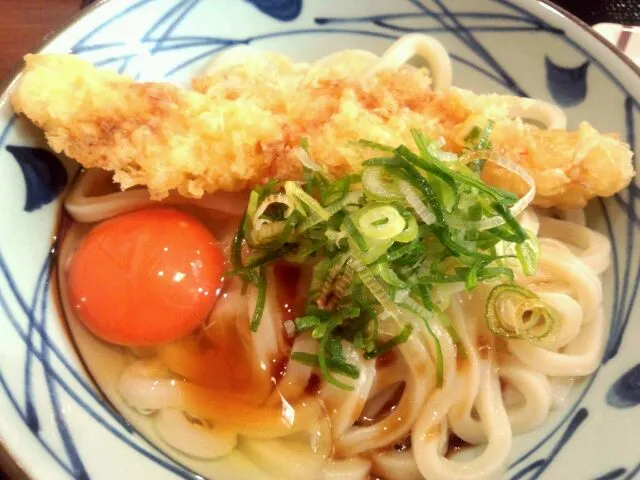 イカ天のせ釜玉うどん|太一さん