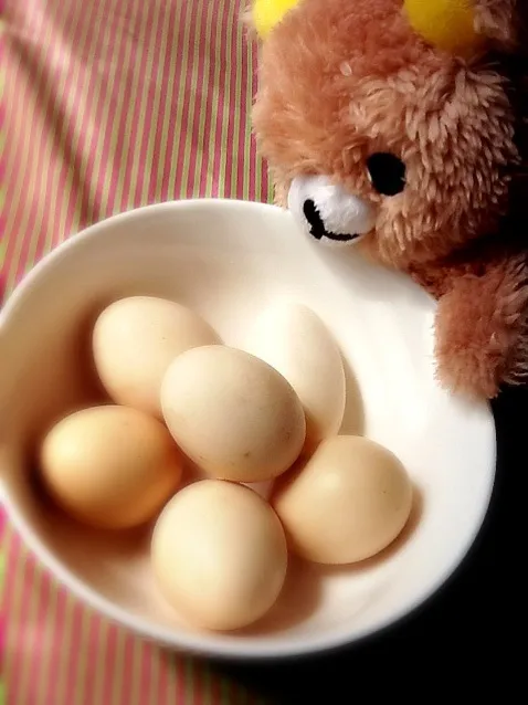 🐔超新鮮地鶏たまご🐤|さとう かおりさん