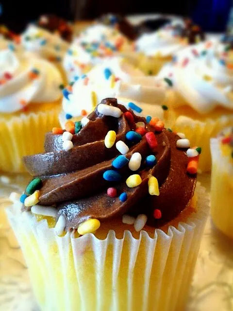 Mini Vanilla Cupcakes w/Chocolate Frosting C:|cassieさん