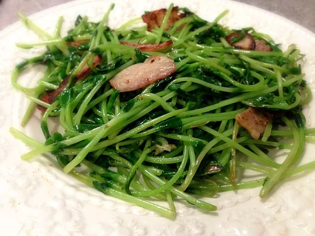 Sugar Pea Vine with Bacon|Junya Tanakaさん