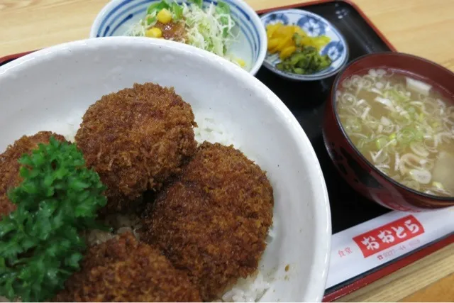 ひれソースカツ丼を頂きました。|momongatomoさん