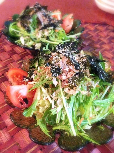 Snapdishの料理写真:Kotoringo's Japanese style
Salad of a potherb mustard🍀Kotoringoさんの水菜の和風サラダ|🌈Ami🍻さん