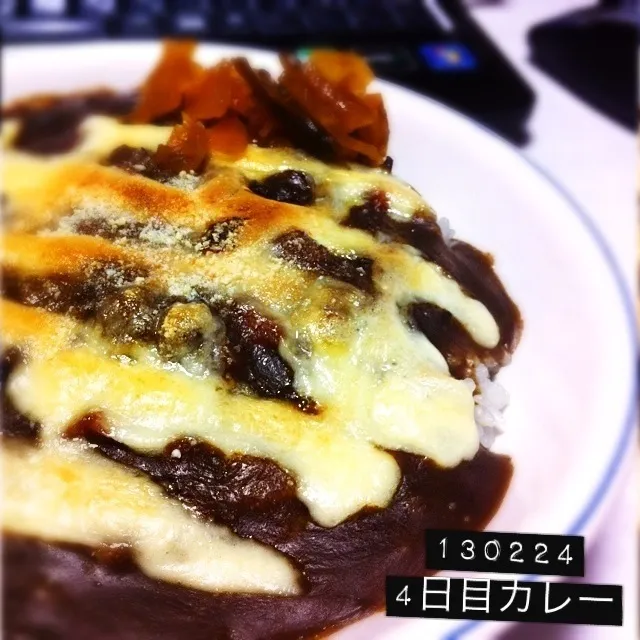 130224-4日目熟成カレー #夕食|dune725さん