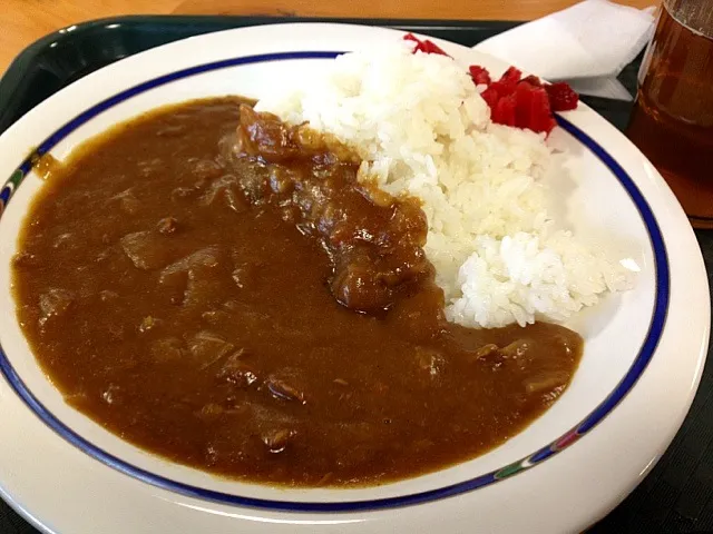 朝っぱらからカレー♬|カリヤ レイイチロウ。さん