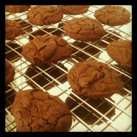 dark choc cookie|NujCookieDudeさん