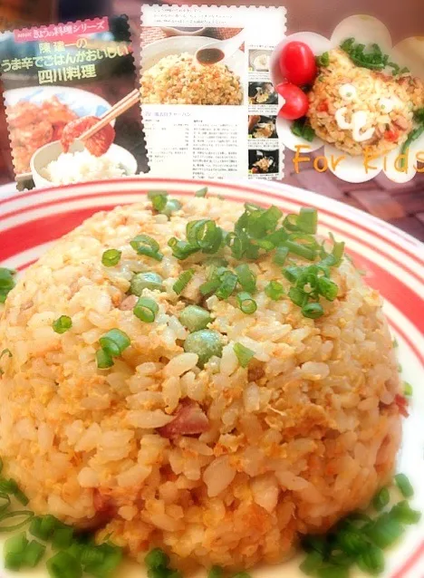 Moko's Very delicious roast pork fried rice✨みどりさんの近所のお肉屋さんのメチャうま焼き豚炒飯|🌈Ami🍻さん