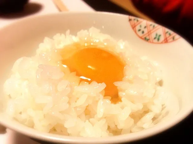 Snapdishの料理写真:土佐ジロー卵かけ御飯|炊かれたいオトコ おこん 小栁津さん