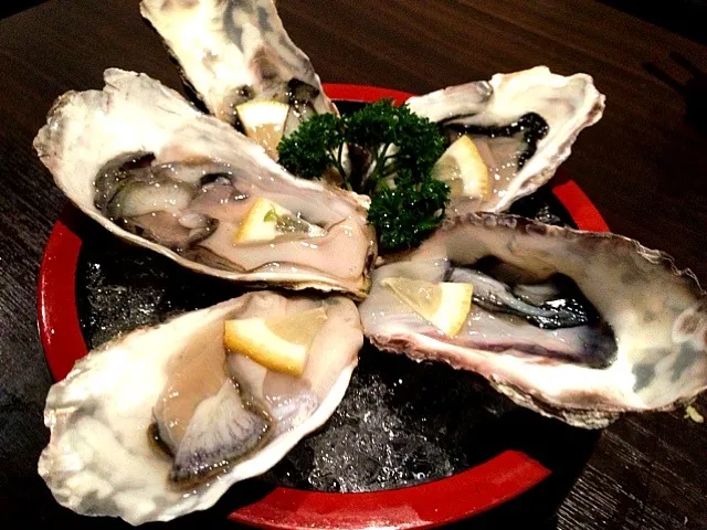 (small) oysters|Cloudy Gさん