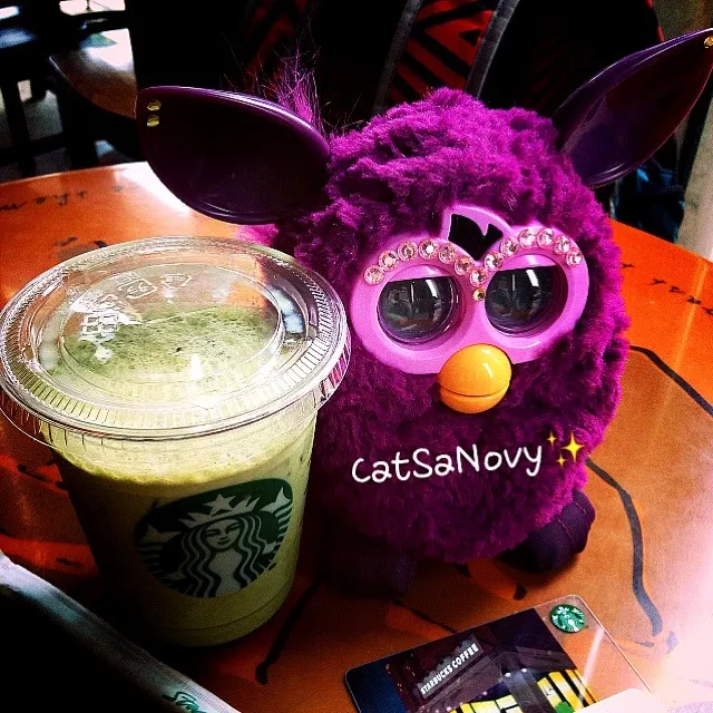 Snapdishの料理写真:Green Tea Latte Starbucks|CatSaNovyさん