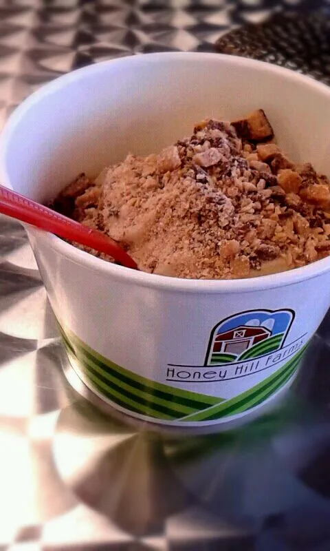 Java frozen yogurt with heath bar and caramel sauce|Abigail Bustosさん