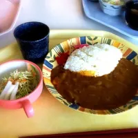 会社食堂のカレーです！|すいかさんさん