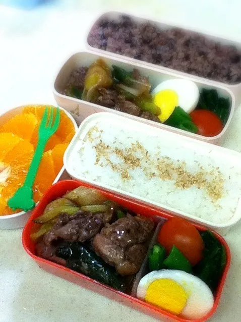 Snapdishの料理写真:今日のJK&OL弁当はシャラン産鴨〜♪ Today's lunch box is challans duck.|hoppycowさん