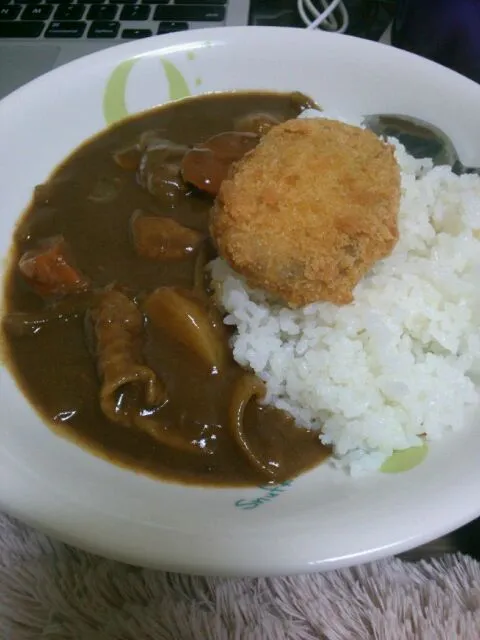 Snapdishの料理写真:二日目のカレー|いもこさん