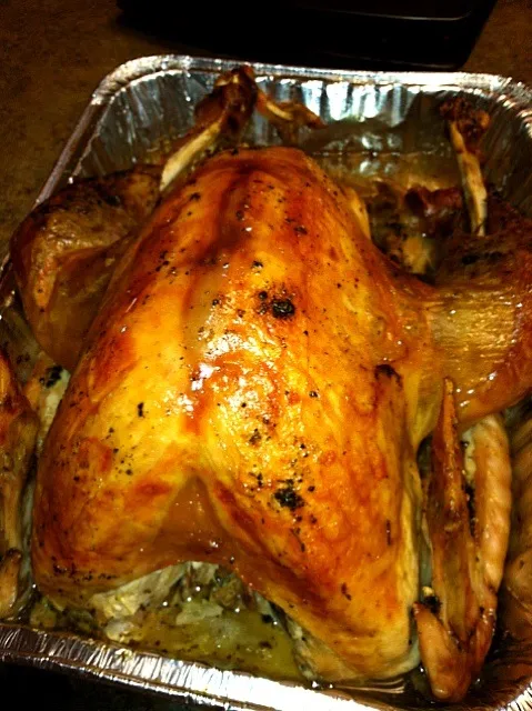 Turkey|robb revereさん