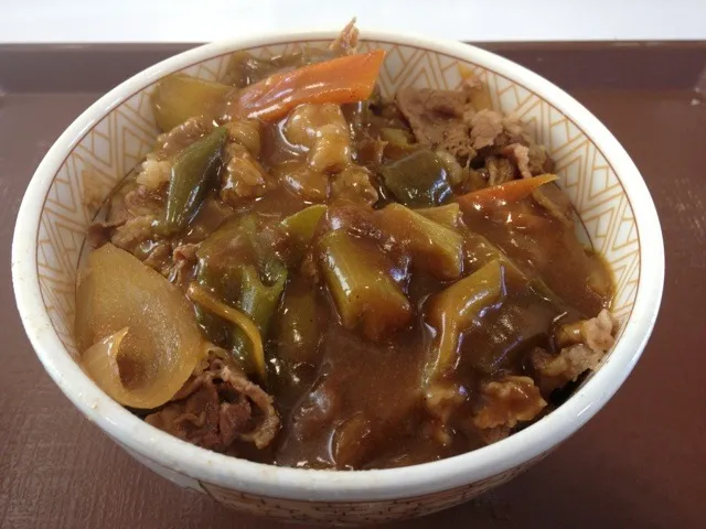 カレー南蛮牛丼を頂きました。|momongatomoさん