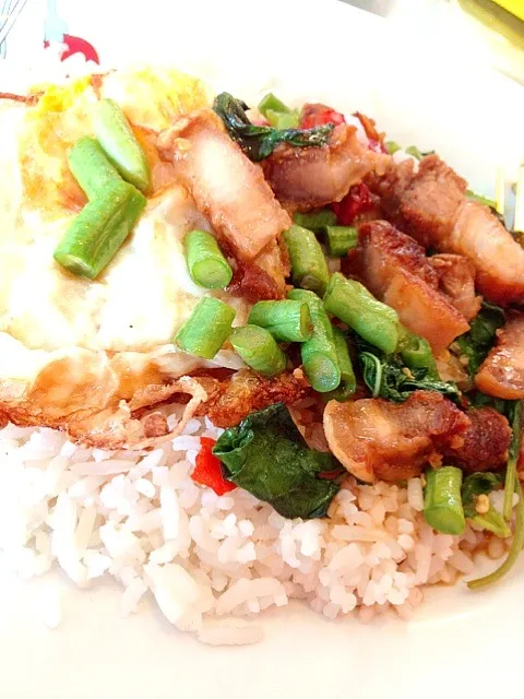 Snapdishの料理写真:Stir fried crispy pork with chili and basil|Ritsu ARさん