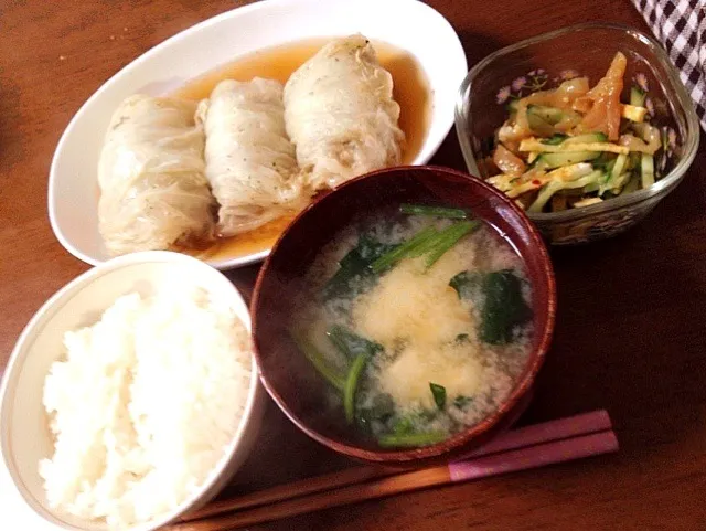 02/27 晩ご飯☆ロール白菜,胡瓜と卵の中華くらげ和え,豆腐とほうれん草の味噌汁,白米|おまみさんさん