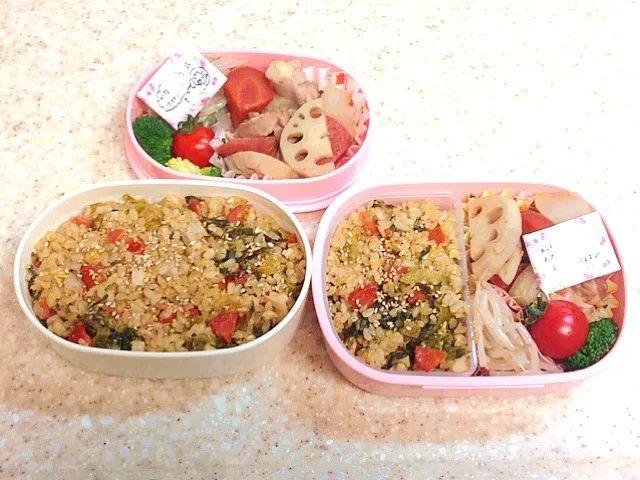 Snapdishの料理写真:玄米高菜炒飯弁当🌟🌟|まりんごさん