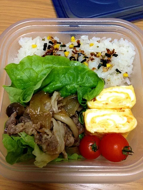 2/28お弁当|みほさん